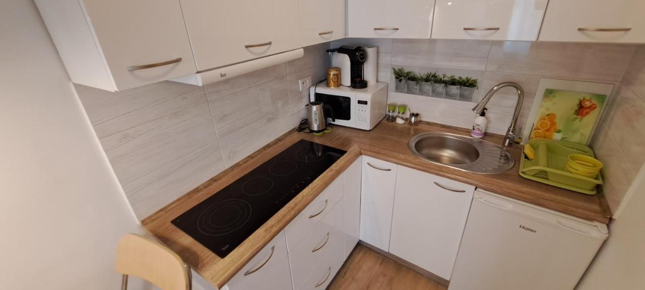 Apartament Kopernika 47 Stary Toruń 外观 照片