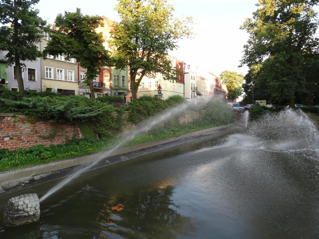 Apartament Kopernika 47 Stary Toruń 外观 照片